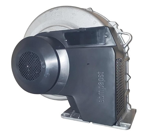 Изображение WhatsApp 2025-08-26 в 16.44.12_873c4bd4